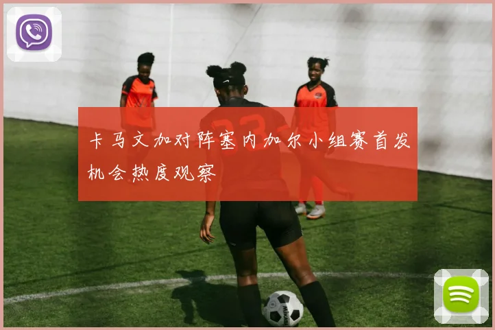 卡马文加对阵塞内加尔小组赛首发机会热度观察