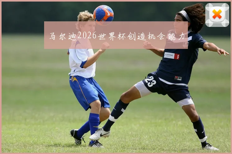 马尔迪2026世界杯创造机会能力
