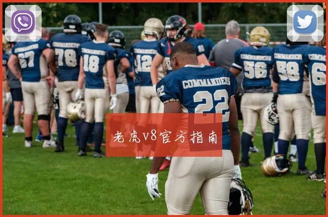 老虎v8官方指南