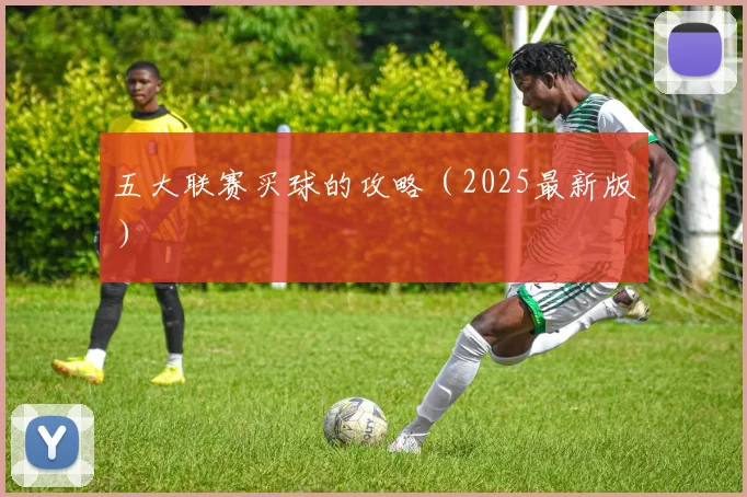 五大联赛买球的攻略（2025最新版）