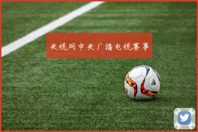 央视网中央广播电视赛事