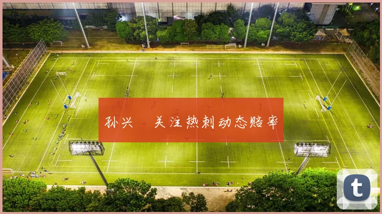 孙兴慜关注热刺动态赔率