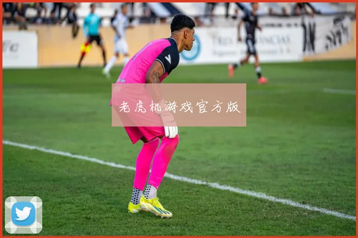 老虎机游戏官方版