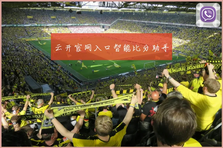 云开官网入口智能比分助手