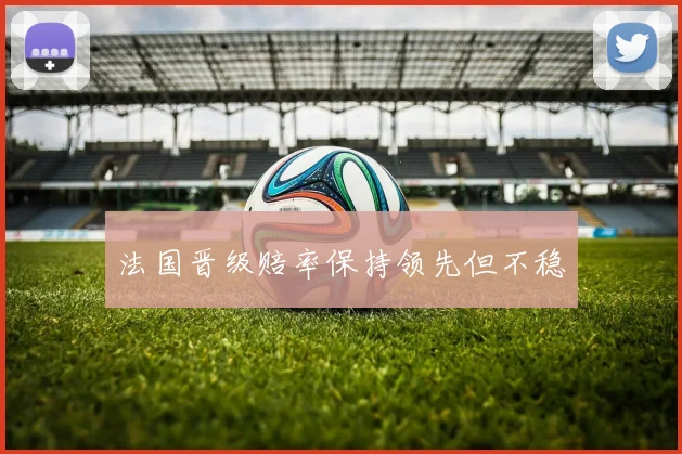 法国晋级赔率保持领先但不稳