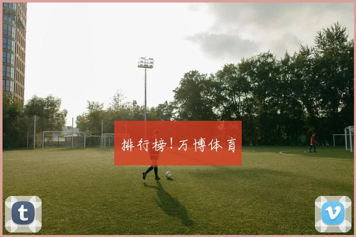 排行榜!万博体育