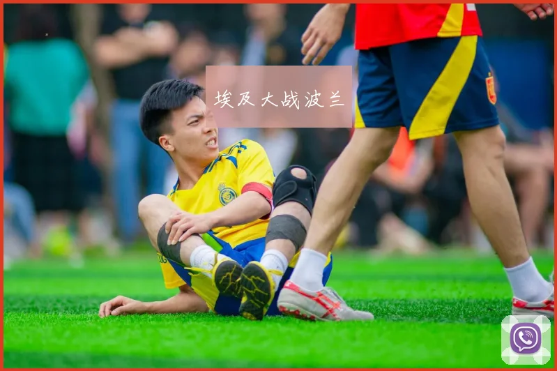埃及大战波兰