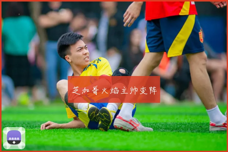 芝加哥火焰主帅变阵