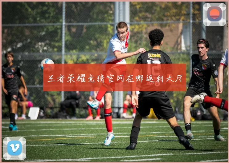 王者荣耀竞猜官网在哪返利大厅