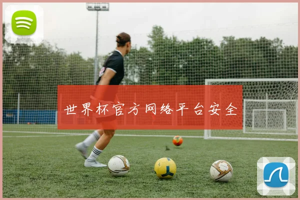 世界杯官方网络平台安全