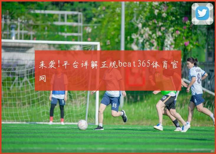 来袭!平台详解正规beat365体育官网