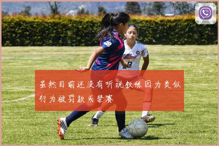 虽然目前还没有听说教练因为类似行为被罚款或禁赛