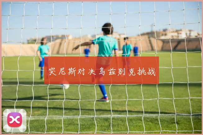 突尼斯对决乌兹别克挑战