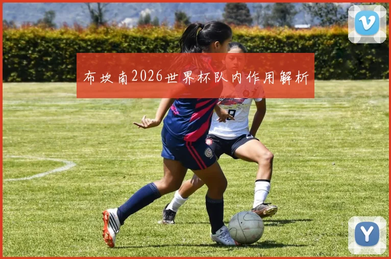 布坎南2026世界杯队内作用解析