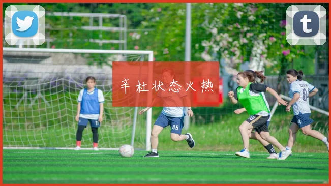 辛杜状态火热