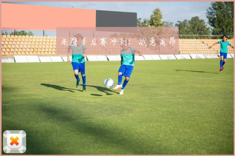 老鹰季后赛冲刺：战意高昂