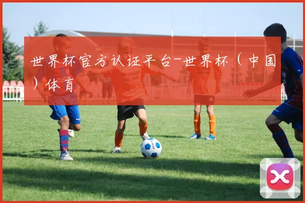 世界杯官方认证平台-世界杯（中国）体育