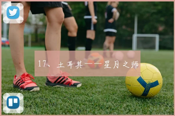 17、土耳其——星月之师