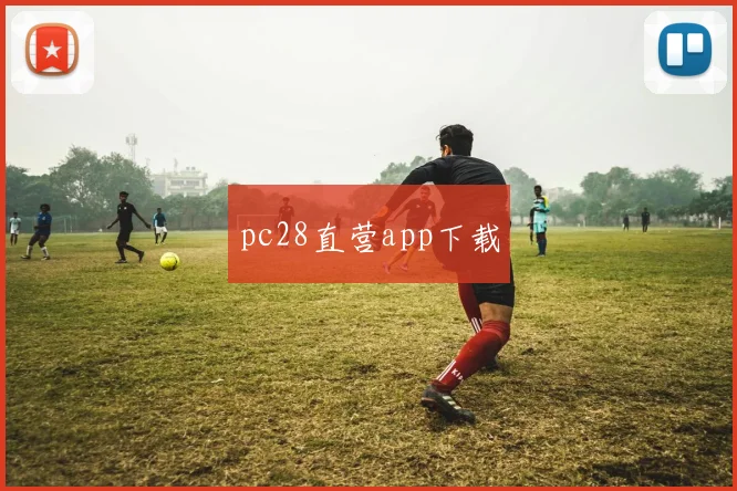pc28直营app下载