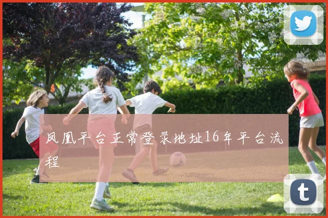 凤凰平台正常登录地址16年平台流程