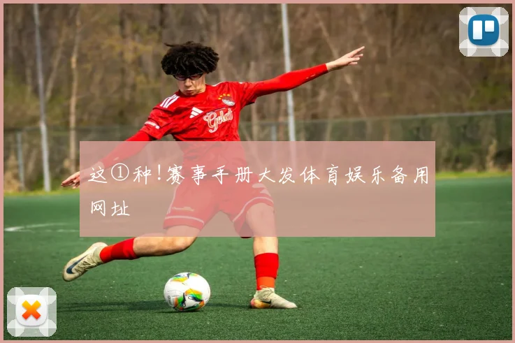 这①种!赛事手册大发体育娱乐备用网址