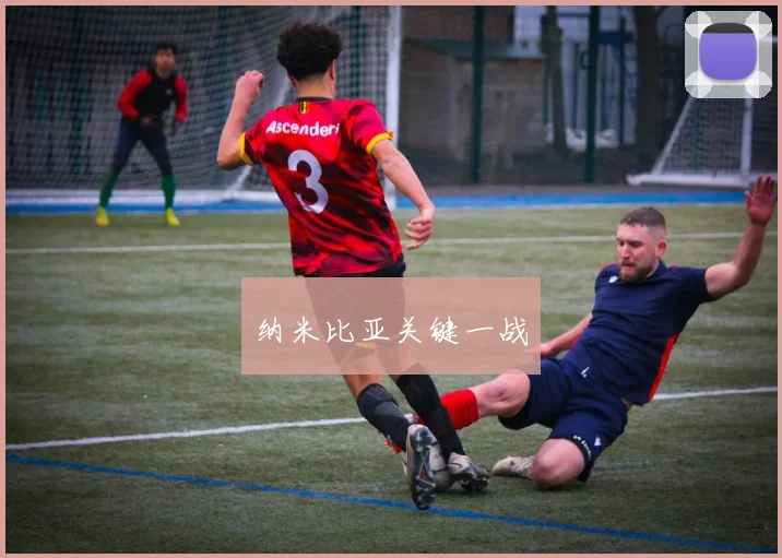 纳米比亚关键一战