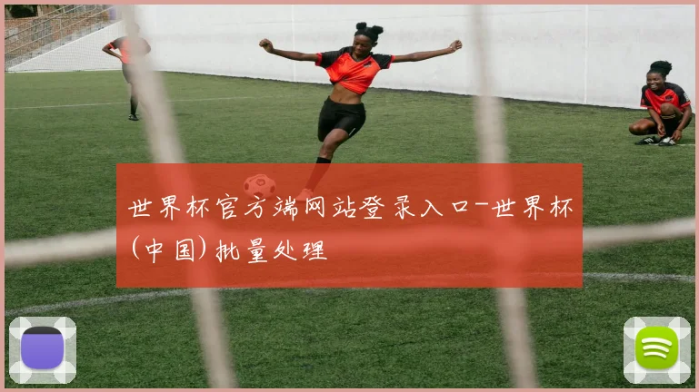 世界杯官方端网站登录入口-世界杯(中国)批量处理