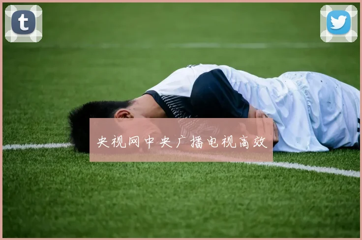 央视网中央广播电视高效