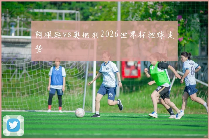 阿根廷vs奥地利2026世界杯控球走势