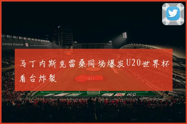 马丁内斯克雷桑同场爆发U20世界杯看台炸裂