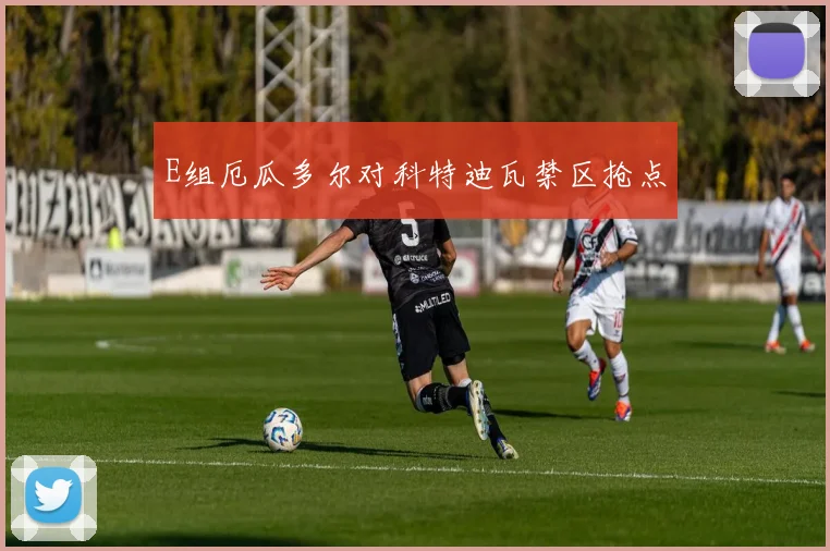 E组厄瓜多尔对科特迪瓦禁区抢点