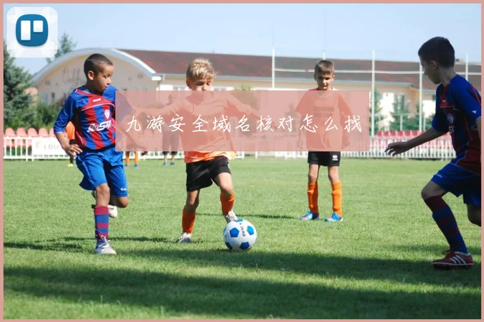 九游安全域名核对怎么找